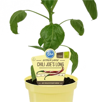 Bio Chili Joe's Long
