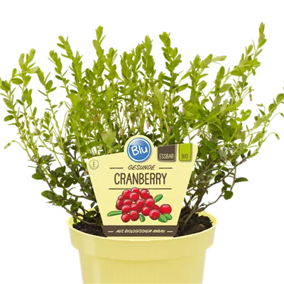 Bio Cranberry