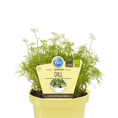 Bio Dill