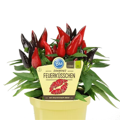 Bio Chili Feuerküsschen