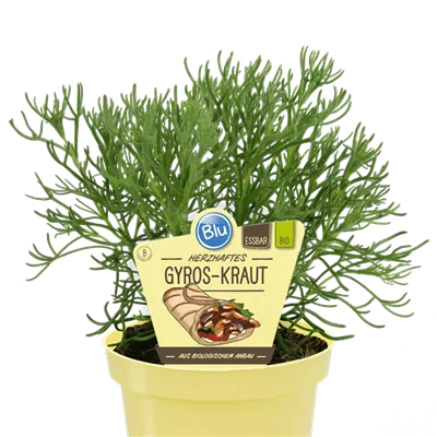 Bio Gyros-Kraut