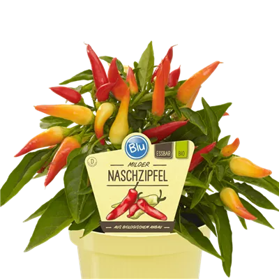 Bio Chili mild Naschzipfel