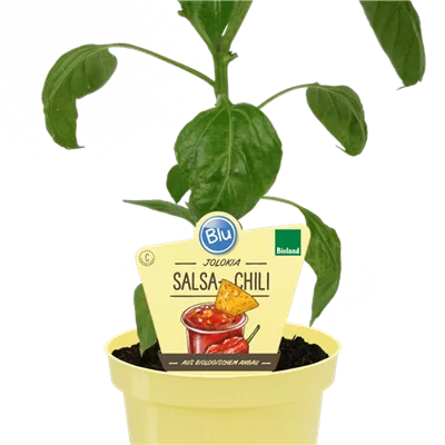 Bio Chili Salsa-Chili Jolokia