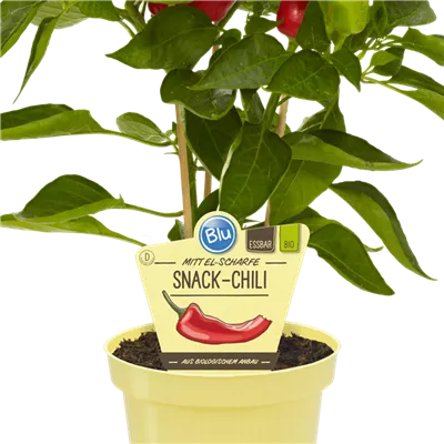 Bio Chili Snack-Chili